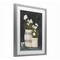 Stupell Industries Vintage Crocks & Paperwhites Framed Print Under Glass, design by Sara Baker